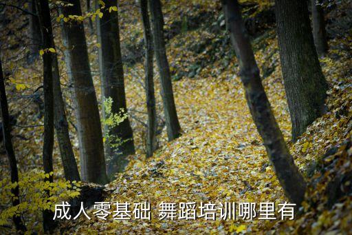 华翎舞蹈总校在哪里,华翎舞蹈培训学校介绍如何咨询和报名