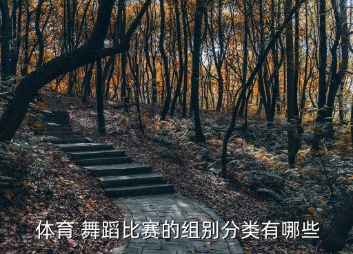  体育 舞蹈比赛的组别分类有哪些
