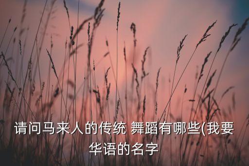 请问马来人的传统 舞蹈有哪些(我要华语的名字