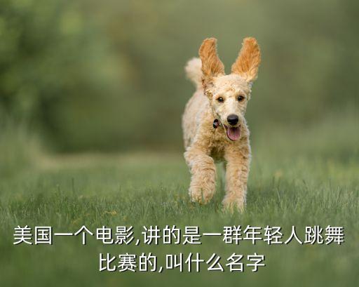 最美双人舞蹈比赛美国,我国跳舞队共十种舞蹈分别为期12天