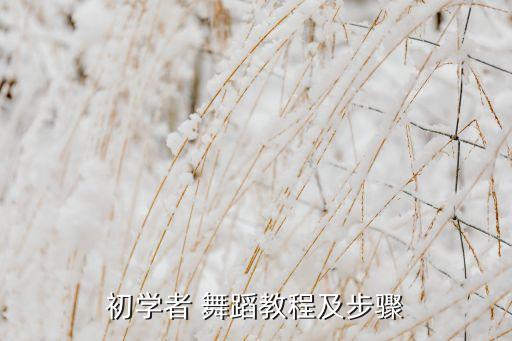 初学者 舞蹈教程及步骤