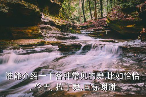 拉丁舞恰恰伦巴舞蹈分解下,拉丁舞蹈基本步
