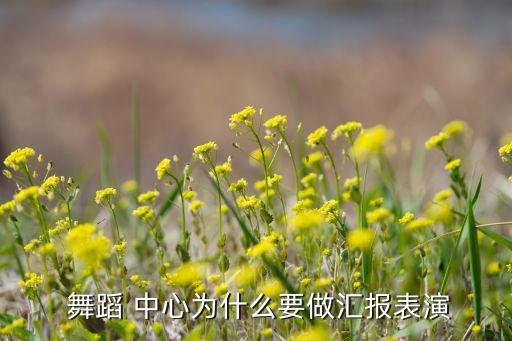  舞蹈 中心为什么要做汇报表演