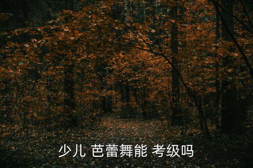 芭蕾舞蹈考级,国际芭蕾dance考级证书分为三种类型