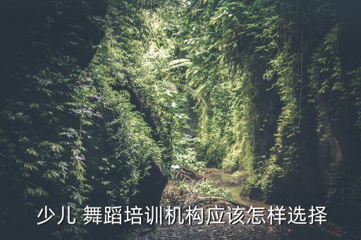  少儿 舞蹈培训机构应该怎样选择