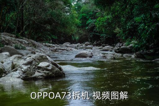 tbt舞蹈视频,《医疗船》高清资源免费在线观看