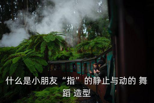 什么是小朋友“指”的静止与动的 舞蹈 造型