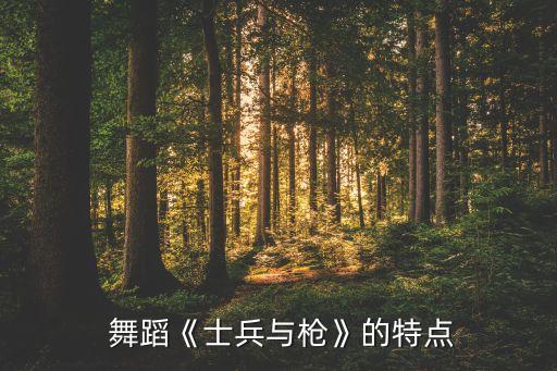  舞蹈《士兵与枪》的特点