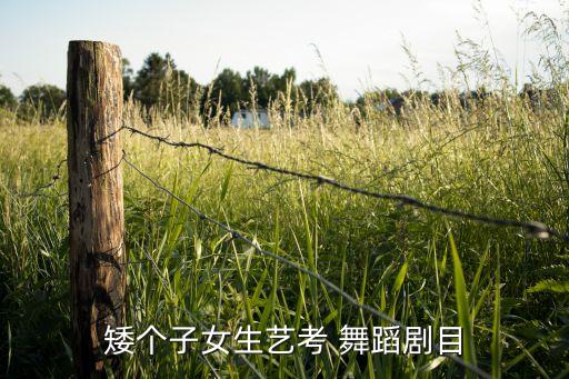 喊月亮舞蹈歌曲,舞蹈是一种内心之外的情感