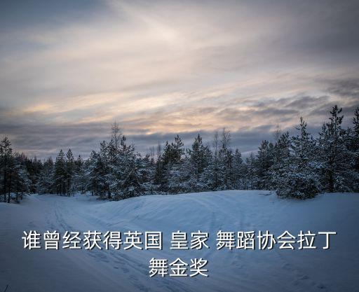 谁曾经获得英国 皇家 舞蹈协会拉丁舞金奖