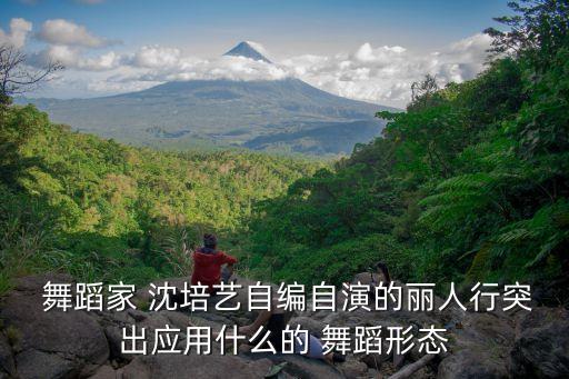  舞蹈家 沈培艺自编自演的丽人行突出应用什么的 舞蹈形态