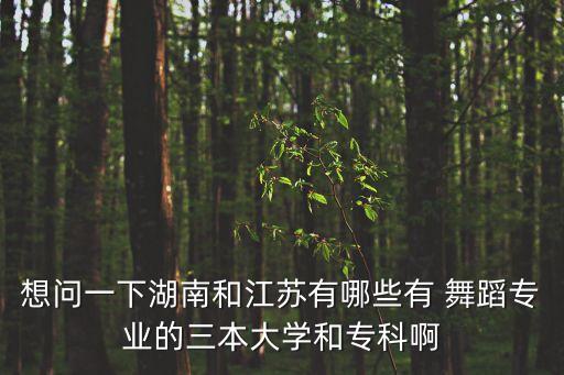 想问一下湖南和江苏有哪些有 舞蹈专业的三本大学和专科啊