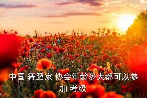 中国 舞蹈家 协会年龄多大都可以参加 考级