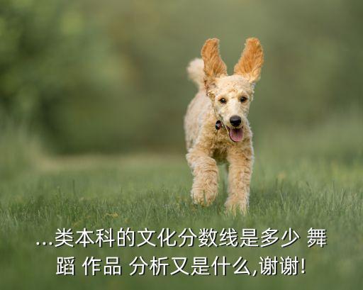 ...类本科的文化分数线是多少 舞蹈 作品 分析又是什么,谢谢!