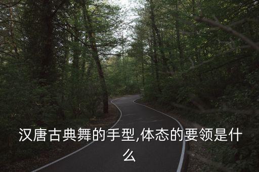 汉唐舞蹈 主要特征,魏晋南北朝舞蹈具有婉约飘逸文化特质