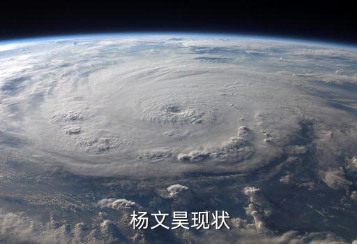  杨文昊现状
