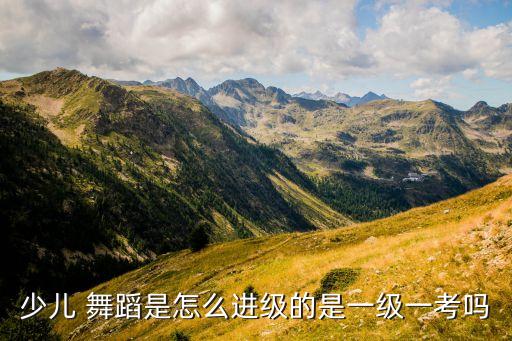 小跳四级儿童舞蹈,中国舞蹈考级要考十三级