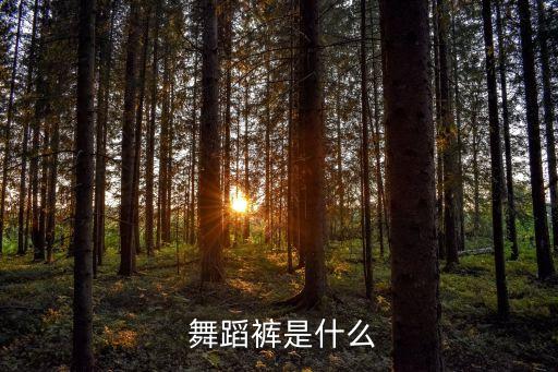  舞蹈裤是什么