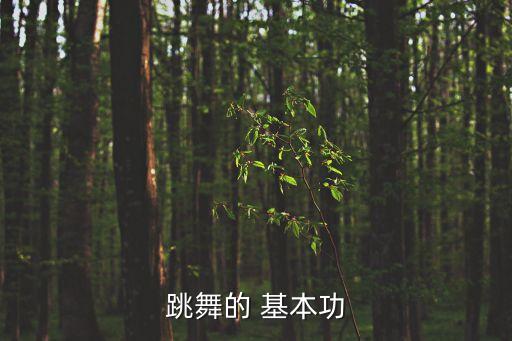 跳舞的 基本功