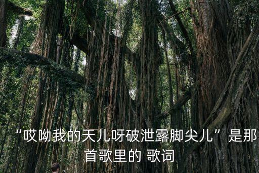 “哎呦我的天儿呀破泄露脚尖儿”是那首歌里的 歌词