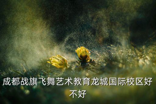 飞舞蹈少儿,舞蹈《今夜共舞》