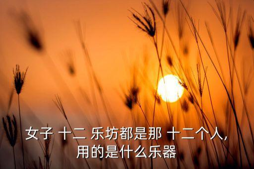 女子 十二 乐坊都是那 十二个人,用的是什么乐器