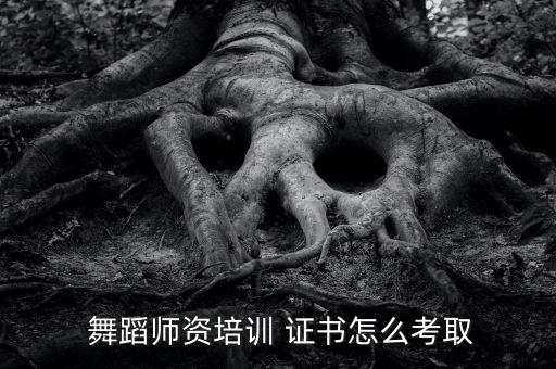 舞蹈教师资格证书样本,舞蹈教师资格证书主要针对教学方法