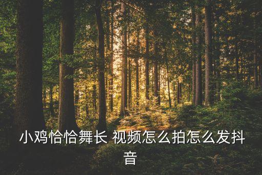  小鸡恰恰舞长 视频怎么拍怎么发抖音