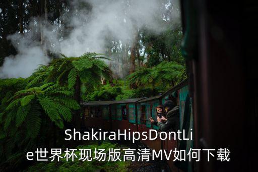 lie舞蹈视频,武汉出现第一起确诊病例