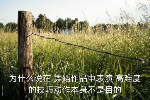 为什么说在 舞蹈作品中表演 高难度的技巧动作本身不是目的