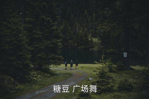  糖豆 广场舞