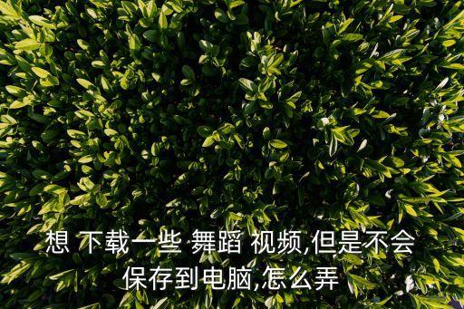 想 下载一些 舞蹈 视频,但是不会保存到电脑,怎么弄