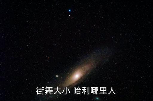街舞大小 哈利哪里人