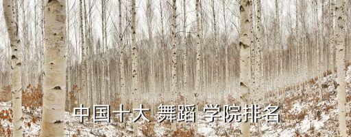 中国十大 舞蹈 学院排名