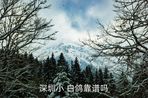 小白鸽舞蹈艺术团,深圳鹏城教育集团推动儿童课外教育