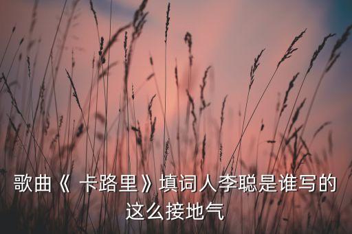 歌曲《 卡路里》填词人李聪是谁写的这么接地气