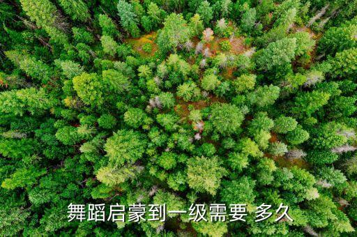 舞蹈启蒙到一级需要 多久