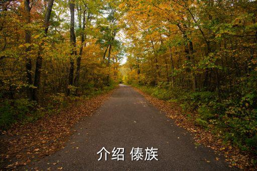 鱼儿 傣族舞蹈,云南丽江和缅甸苗族自治州出现大规模苗族聚集