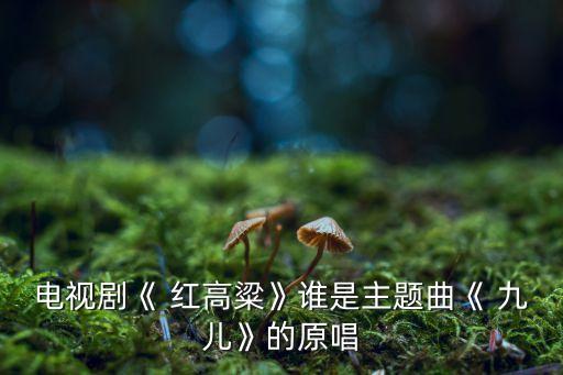 电视剧《 红高粱》谁是主题曲《 九儿》的原唱