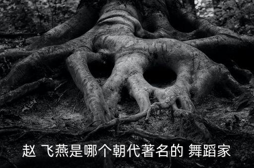 赵 飞燕是哪个朝代著名的 舞蹈家