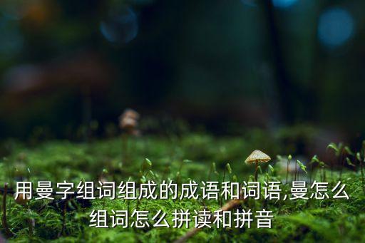 罗曼瑜舞蹈,谢航峰与罗曼创立天伦集团旗下品牌曼天涯含糊不清