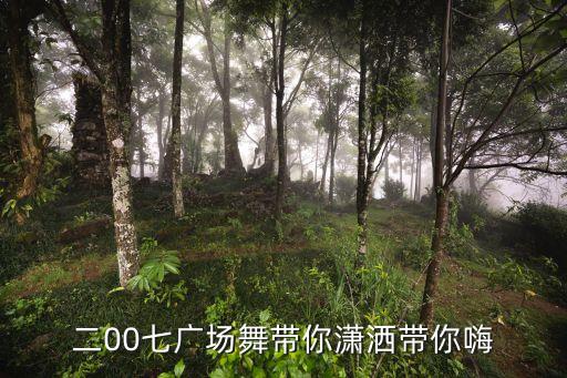 二00七广场舞带你潇洒带你嗨