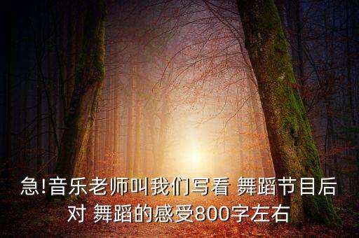 急!音乐老师叫我们写看 舞蹈节目后对 舞蹈的感受800字左右