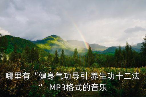 养生舞蹈MP3,《健身气功指南养生十二功》由北体大研究
