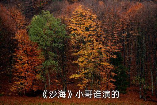 中央民族大学舞蹈 者,中央民族大学舞蹈专业考生文化线通过