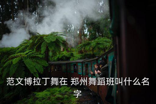 郑州自由舞蹈队,范文博，中国拉丁舞蹈团队成员