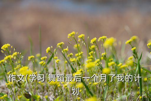 作文(学习 舞蹈最后一个月了我的计划