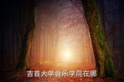 贾作光舞蹈学校,文革期间停办吉首大学音乐舞蹈学院复校