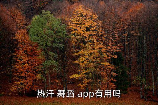 热汗 舞蹈 app有用吗