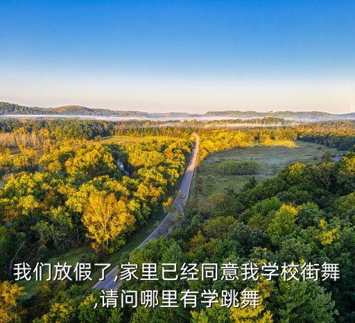 我们放假了,家里已经同意我学校街舞,请问哪里有学跳舞